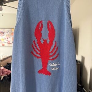 Lilly Pulitzer Blue Sweater with Red Design